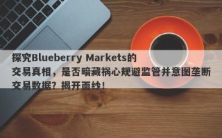 探究Blueberry Markets的交易真相，是否暗藏祸心规避监管并意图垄断交易数据？揭开面纱！