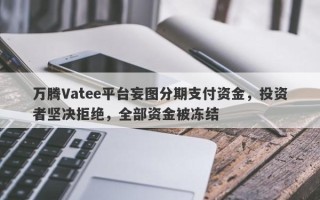 万腾Vatee平台妄图分期支付资金，投资者坚决拒绝，全部资金被冻结