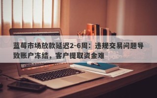 蓝莓市场放款延迟2-6周：违规交易问题导致账户冻结，客户提取资金难