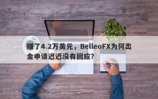 赚了4.2万美元，BelleoFX为何出金申请迟迟没有回应？