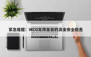 紧急提醒：WCG文传金业的资金安全隐患