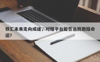 铁汇未来走向成谜，对赌平台能否逃脱跑路命运？