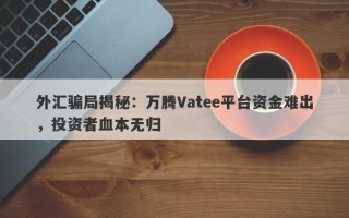 外汇骗局揭秘：万腾Vatee平台资金难出，投资者血本无归