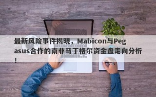 最新风险事件揭晓，Mabicon与Pegasus合作的南非马丁格尔资金盘走向分析！