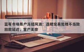 蓝莓市场账户冻结风波：违规交易处理不当致放款延迟，客户无奈