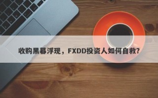 收购黑幕浮现，FXDD投资人如何自救？