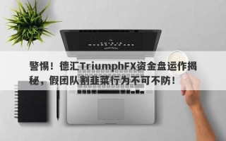 警惕！德汇TriumphFX资金盘运作揭秘，假团队割韭菜行为不可不防！