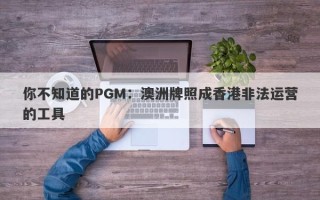 你不知道的PGM：澳洲牌照成香港非法运营的工具