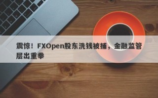 震惊！FXOpen股东洗钱被捕，金融监管层出重拳