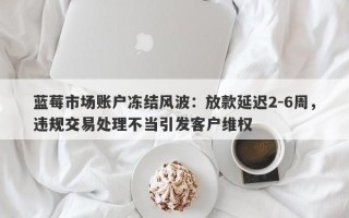 蓝莓市场账户冻结风波：放款延迟2-6周，违规交易处理不当引发客户维权