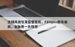 洗钱风波引发监管危机，FXOpen股东被抓，金融界一片哗然