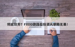 彻底放弃？FXDD跑路后投资人求助无果！