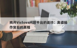 揭开Vistova问题平台的面纱：离谱操作背后的真相