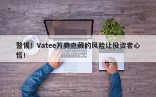 警惕！Vatee万腾隐藏的风险让投资者心慌！