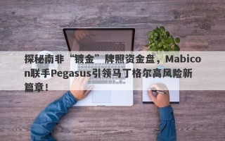 探秘南非“镀金”牌照资金盘，Mabicon联手Pegasus引领马丁格尔高风险新篇章！