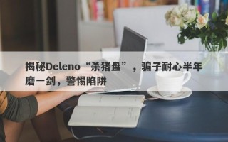 揭秘Deleno“杀猪盘”，骗子耐心半年磨一剑，警惕陷阱