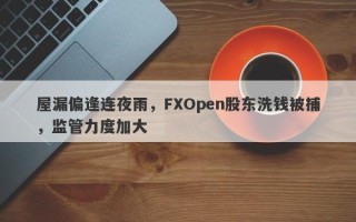 屋漏偏逢连夜雨，FXOpen股东洗钱被捕，监管力度加大