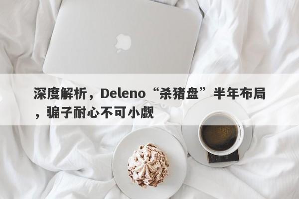 深度解析，Deleno“杀猪盘”半年布局，骗子耐心不可小觑-第1张图片-要懂汇