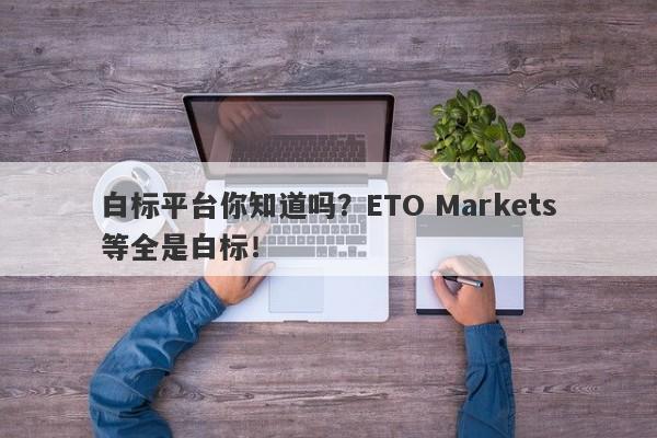 白标平台你知道吗？ETO Markets等全是白标！-第1张图片-要懂汇