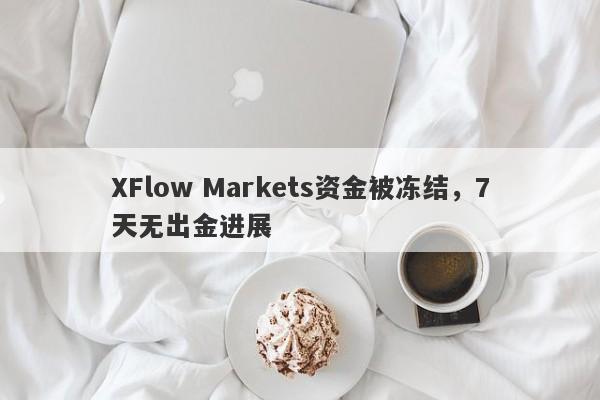 XFlow Markets资金被冻结，7天无出金进展-第1张图片-要懂汇