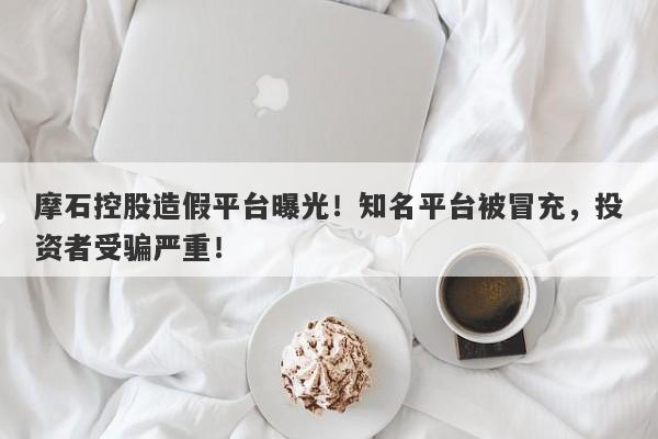 摩石控股造假平台曝光！知名平台被冒充，投资者受骗严重！-第1张图片-要懂汇