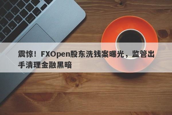 震惊！FXOpen股东洗钱案曝光，监管出手清理金融黑暗-第1张图片-要懂汇