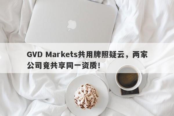 GVD Markets共用牌照疑云，两家公司竟共享同一资质！-第1张图片-要懂汇